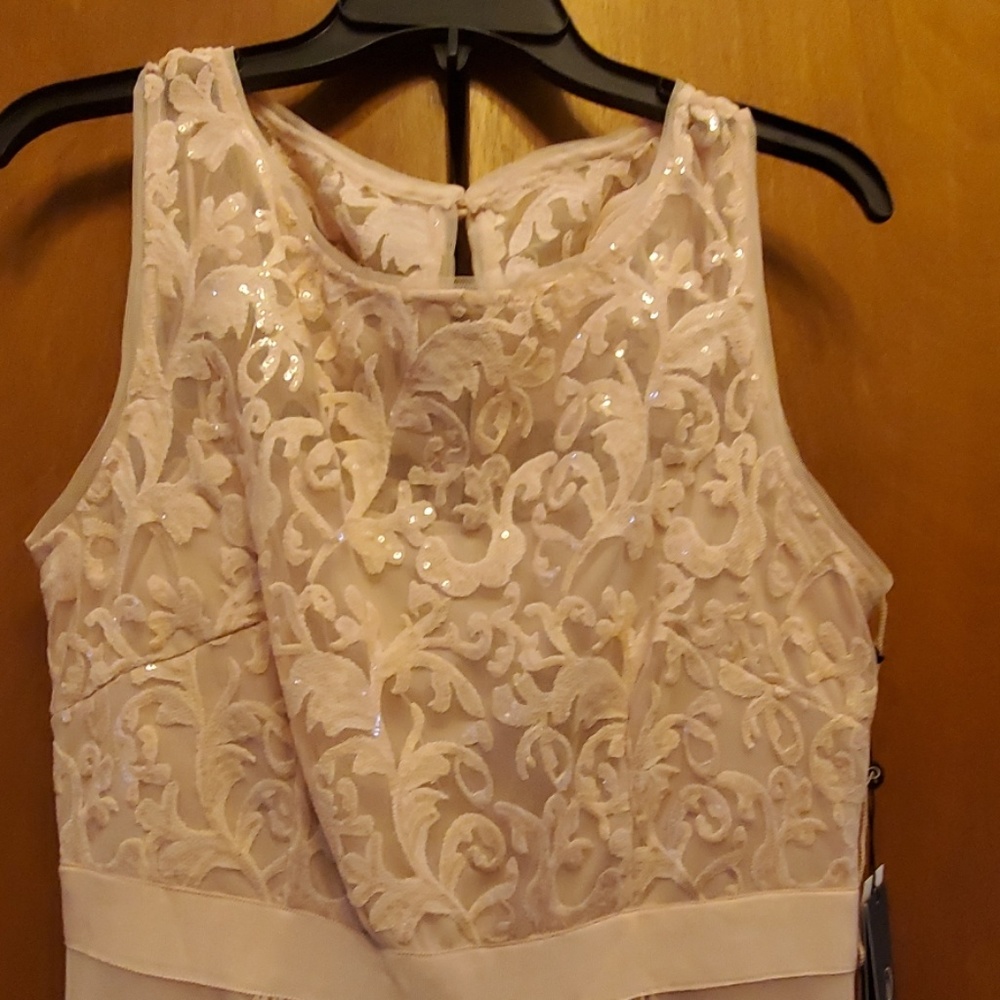 Adrianna papell dress